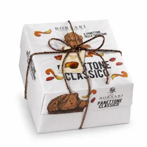 BORSARI Panettone s kandizovaným ovocím a hrozienkami 1000g